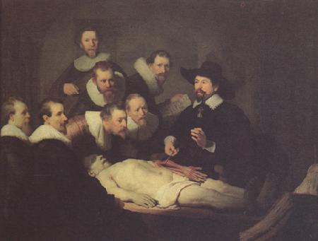 REMBRANDT Harmenszoon van Rijn The anatomy Lesson of Dr Nicolaes tulp (mk33) oil painting image